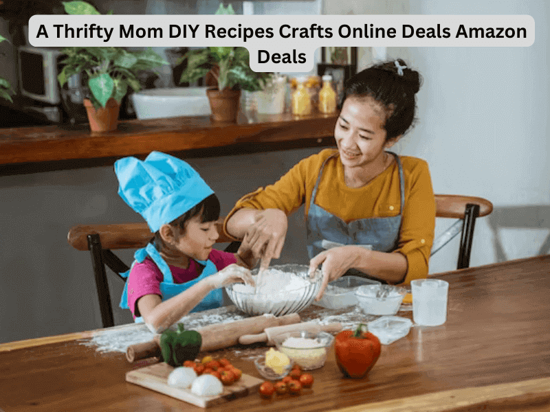 A Thrifty Mom DIY Recipes Crafts Online Deals Amazon Deals
